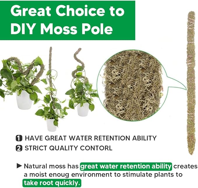 Natural Long Fiber Sphagnum Moss 42QT for Orchid Potting Mix, and Moss Pole for Plants Indoor. Ideal for Propagating Plants, Maintaining Humidity for Reptiles, Isopods in Paludarium, Aquascape (12 OZ)