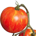 Mr. Stripey Heirloom Tomato Seeds - Large Tomato - One of The Most Delicious Tomatoes for Home Growing,