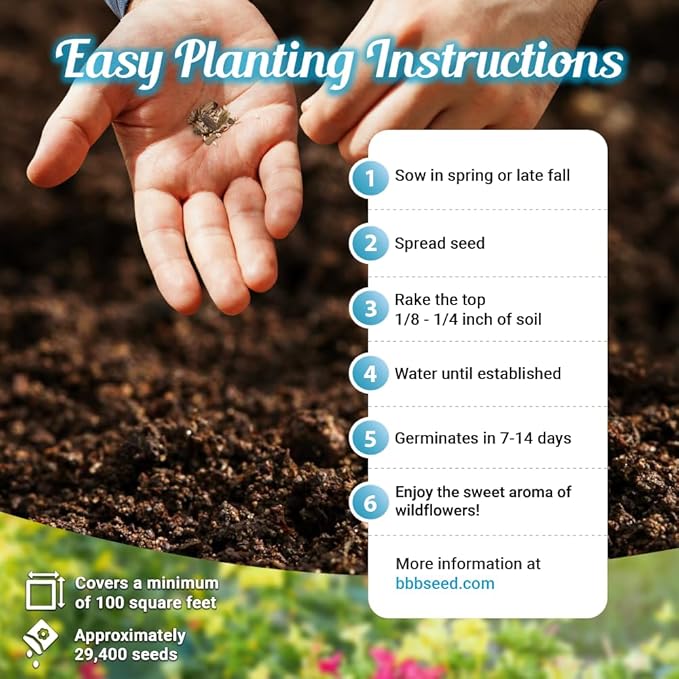 Fragrant Wildflower Seeds Mix - 1oz, Aromatic Annual and Perennial Wildflower Seeds – Create The Perfect Garden.