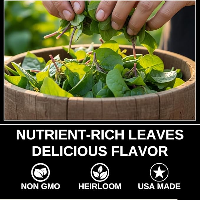 Vegetable Garden Seeds for Planting - Grow Heirloom Vegetables (Malabar Spinach)