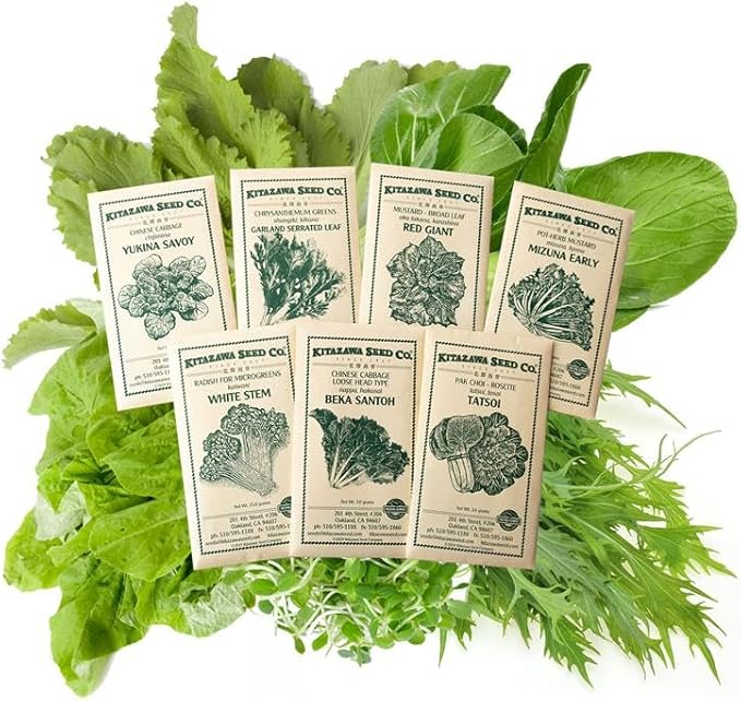Asian Salad Garden Seed Assortment – 7 Varieties of Asian Greens – Chinese Cabbage, Mizuna, Mustard, Tatsoi, Daikon Sprouts – Non-GMO, Heirloom – Stir-Fry & Salad Mix