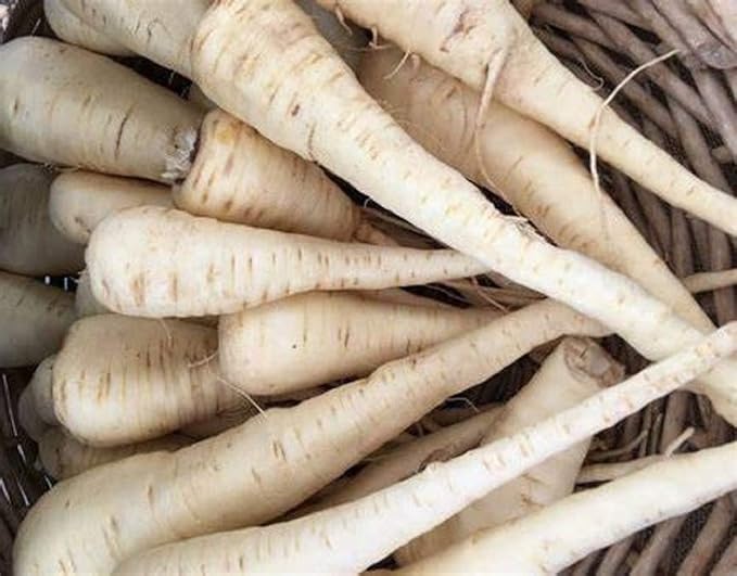 All American Parsnip Seeds 100 Count, COOL BEANS N SPROUTS Brand. Heirloom. Non-GMO. Home Gardening.
