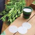 Park Seed Easy DIY Planting Sow Effortless Collection Seed Discs, Organic Flat Leaf Parsley, (Set of 3)