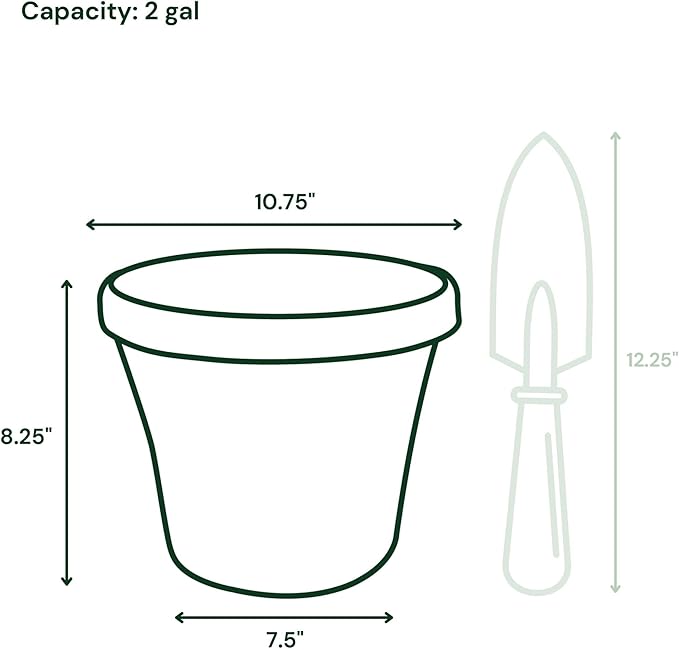 Bloem Terra 10" Diameter Round Vanilla Bean Resin Planter Pot with Drainage Holes for Indoor and Outdoor Gardening