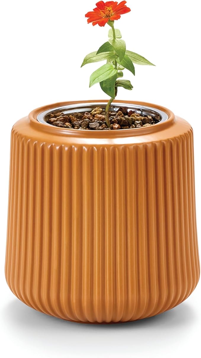 Modern Sprout Flower Grow Kit - Ceramic Planter with Indoor Hydroponics Growing System Kit Ideal for Living Room Decor - Unique Gardening Gifts - Zinnia Dahlia Self Watering Flower Planting Kit