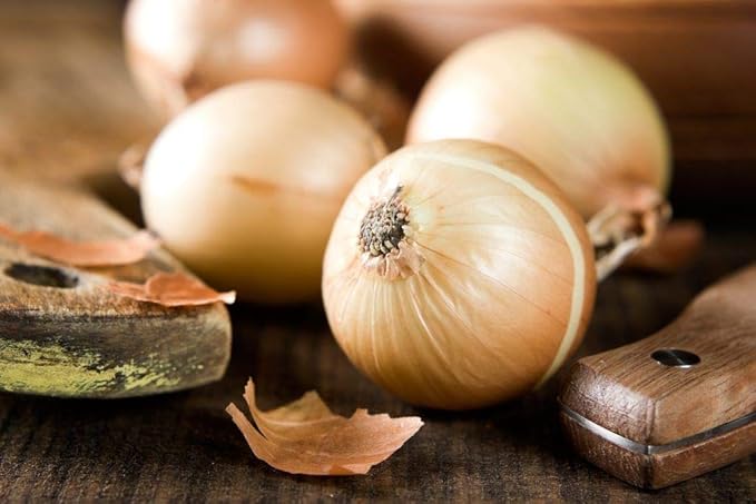 Seeds Chalcedony Onion - Heirloom Vegetable - GMO Free