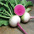Park Seed Starburst Hybrid Radish Seeds, Pack of 100 Seeds