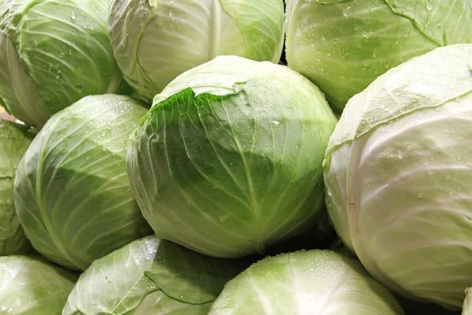 Seeds Vegetable Cabbage Winter Green - 100 Seeds