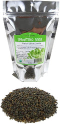 Organic French Lentil Sprouting Seeds - 1 Lb - French Lentils - Perfect for Edible Seeds, Gardening, Hydroponics, Salad, Soup, Sprouts & Food Storage Product Name