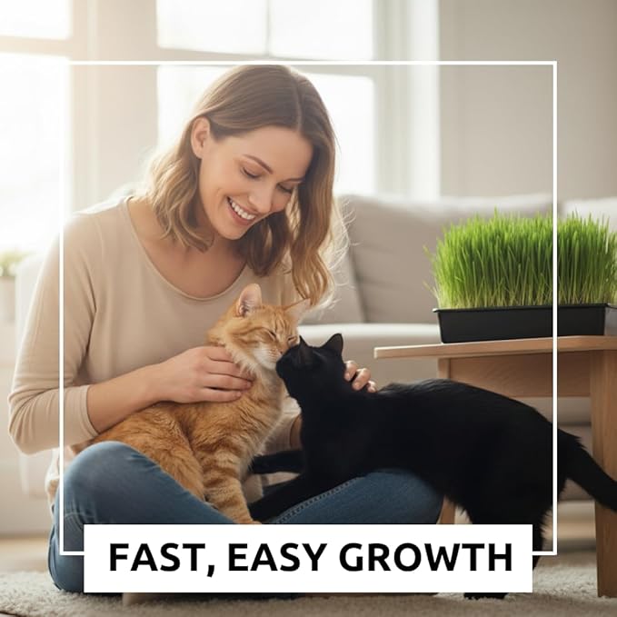 Cat Grass Seeds for Growing | 4 Way Blend, Rye, Wheat, Oats and Barley | Made in USA | Safe Non-GMO Pet Grass for Cats & Pets | Fast Sprouting (2 Pounds)