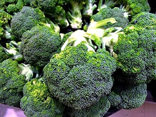 Broccoli Vitamin Seeds for Planting 200 Seeds Non-GMO Pack with Growing Instructions Vegetable Garden