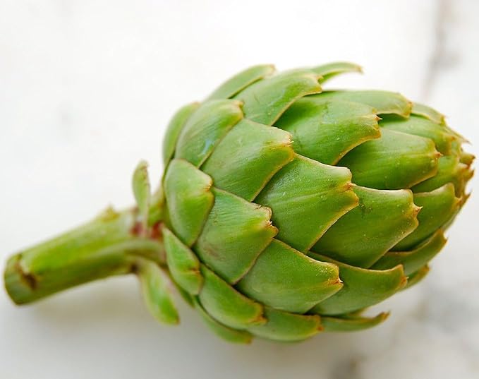 SeedsUP - 20+ Seeds Globe Artichoke Imerial Star - Vegetable Green