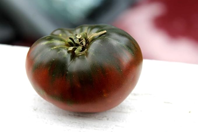 Seeds4planting - Seeds Tomato Black Elephant Giant Heirloom Vegetable Non GMO