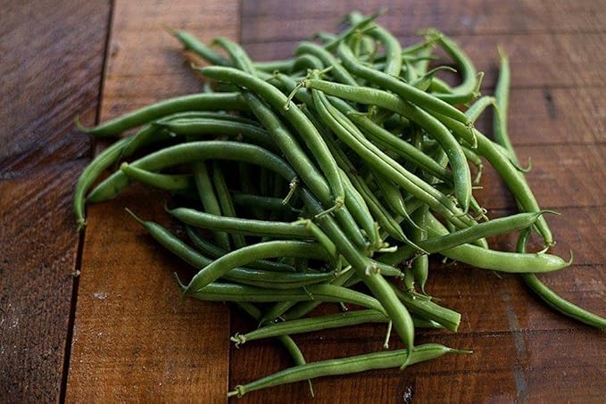 Tendergreen Bush Bean Seeds - 100 Count Seed Pack - Recommended for Eating Fresh, Canning, and Especially Freezing- Country Creek LLC
