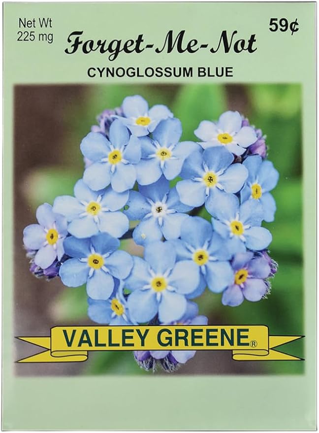 Set of 50 Forget Me Not Valley Green Flower Seed Packets! Flower Seeds in Bulk - Forget Me Nots