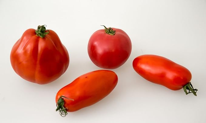 Seeds Tomato Pepper-Shaped Red Long Heirloom Vegetable for Planting Non GMO