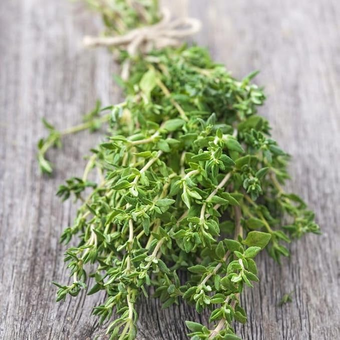 Seeds Summer Savory Heirloom Herbs for Planting Non GMO 800 Seeds