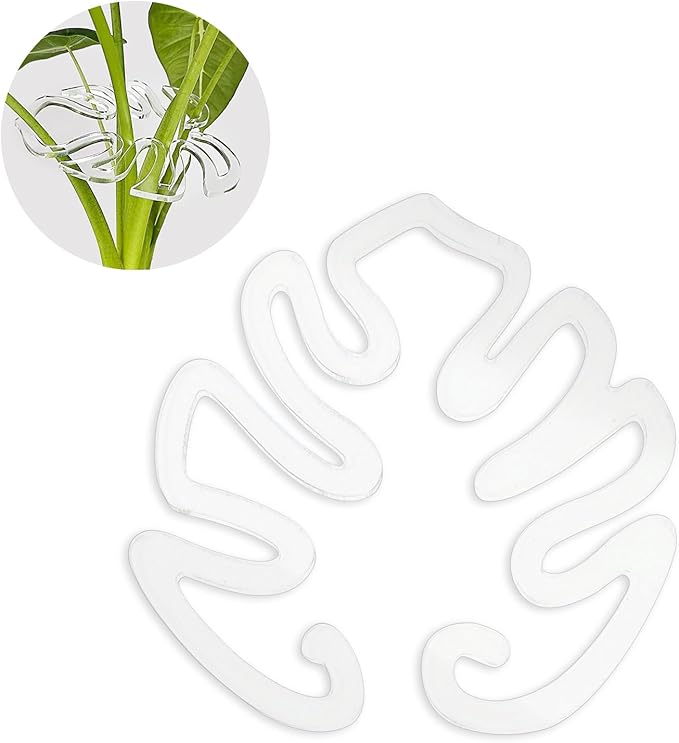 Plant Stem Support,Plastic Monstera Plant Support, Climbing Houseplant Stem Supports, Stem Hook Growth Accessories for Plant (Large-7.8in)