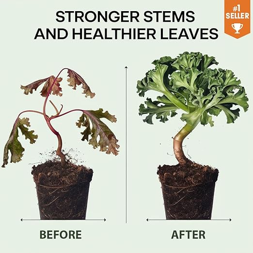 𝐏𝐑𝐄𝐌𝐈𝐔𝐌 Liquid Silica Plant Supplement - 8oz (250mL) - Desert Rose Plants Liquid Silica Boost Fertilizer - Stronger Stems & Healthy Leaves for Indoor & Outdoor Desert Roses (Makes 45 Gallons)