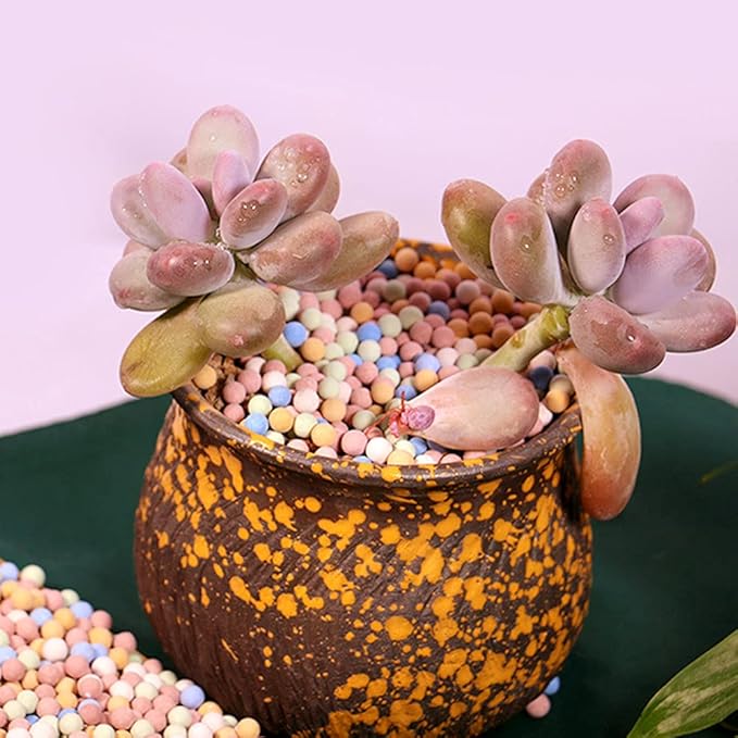 Garden Soil,Clay Pebbles Gardening Ceramsite Orchid Rocks Drainage Water Purification Ceramsite Decor Cultivation Soil Stone Horticultural Grade for Soil Hydroponics Aquaponics,6LBS