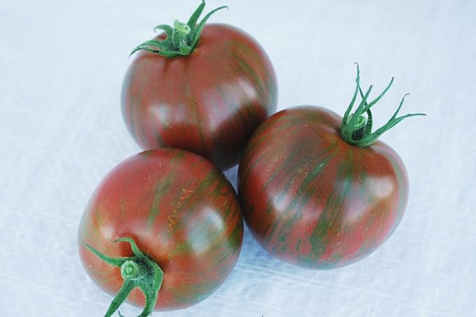 Purple Zebra F1 Hybrid | AAS Winning Tomato | 10 Seed Packet | Disease Resistant | Great Flavor | Perfect for Home Gardening | Easy-to-Grow Tomato | A.P. Whaley Seed Company |