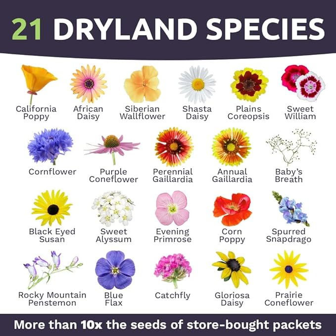 Drought Tolerant Wildflowers Mix – Bulk 1 Pound Bag – Over 120,000 Open Pollinated Non-GMO Seeds – 21 Different Dryland Species