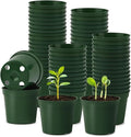 RooTrimmer 100 Pack 2.5 Inch Small Plant Pots, Plastic Nursery Pots for Plants, Seedling Pots for Planting Seeds, Succulents, Vegetables, Green