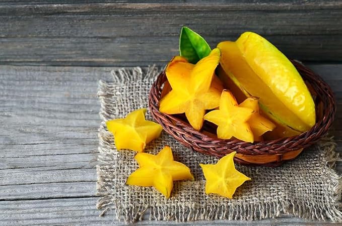 GARDENERA Premium Carambola Potting Soil Mix - Perfect Balance of Nutrients, Drainage, and Aeration for Thriving Starfruit Trees - 5 Quart