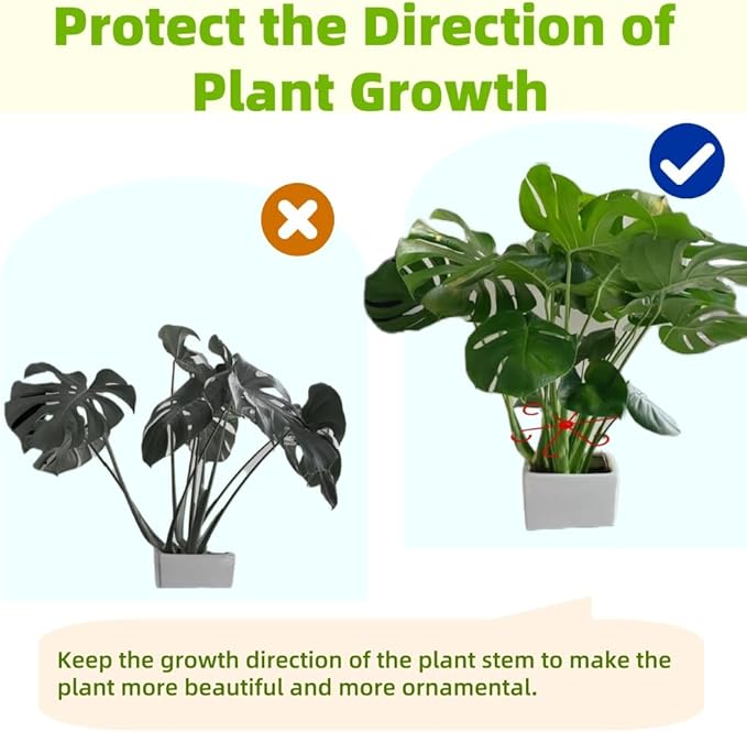8 PCS Plant Stem Support, Plant Stakes for Indoor Plants Plant Clips for Climbing Plants, Plastic Monstera Plant Support Accessories for Potted Indoor Plant in Various Growth Stage(4 Sizes, 2 Colors)