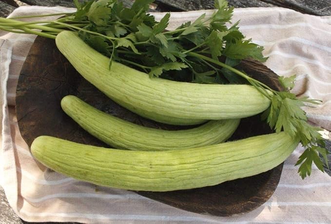 Seeds Vegetable Cucumber Armenian Heirloom for Pickling - 10 Seeds