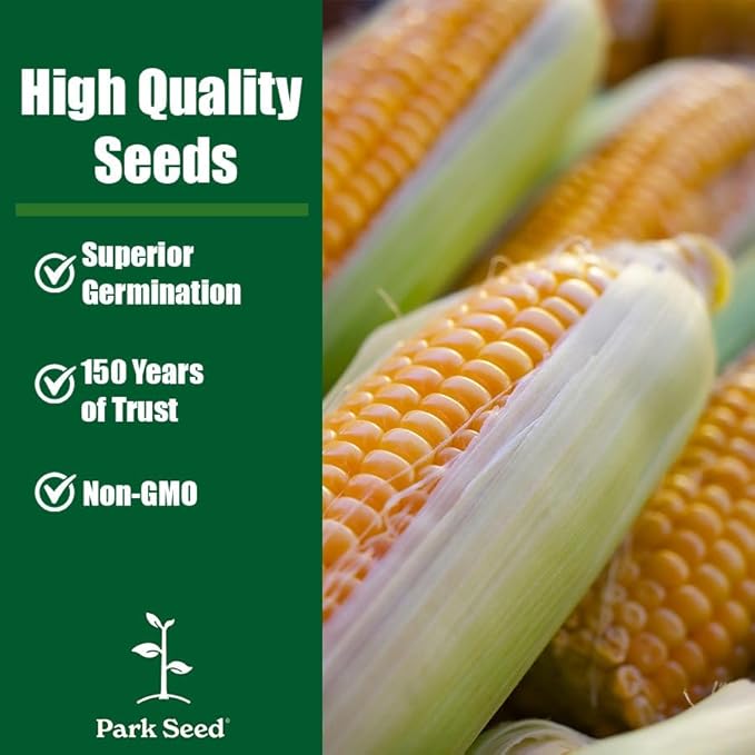 Park Seed Variety of Corn Seeds, Non-GMO Vegetable Seeds for Planting, Easy to Grow, Perfect for Harvesting, Serendipity Triplesweet Hybrid, Pack of 200