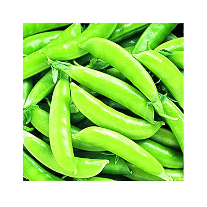 Park Seed Super Sugar Snap Pea Seeds, 1 Pack of 160 Seeds
