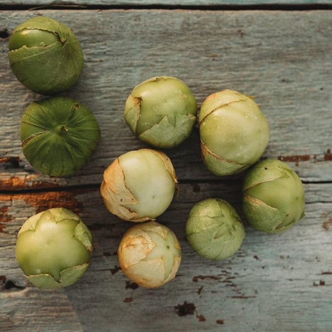 Rio Grande Verde Tomatillo - 25 Seeds - Heirloom Green Tomatillo Variety, Great for Roasting & Salsa Verde, Non-GMO Heirloom Tomatillo Seeds for Planting in The Home Garden, Thresh Seed Company