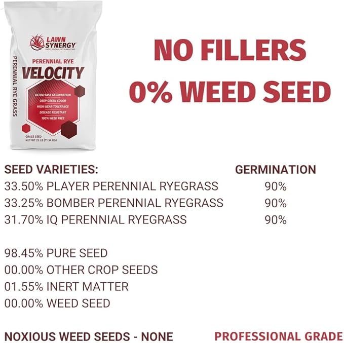 Velocity™ Perennial Rye Grass Seed — Fast-Germinating Cool-Season Turf for Overseeding Lawns, Sports Fields & Golf Courses — Dark Green Winter Color — 10 lb / 25 lb / 50 lb Options (25 lbs)