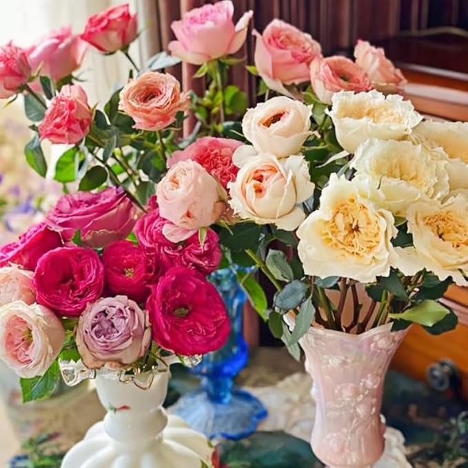 298+ Rose Seeds for Planting Outdoor & Indoor Garden, Perennial Heirloom Open Pollinated Flower Seeds, Non-GMO Hardy Easy Growing for Beginners & Gardeners
