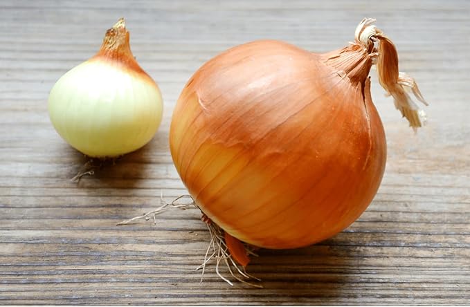Seeds Chalcedony Onion - Heirloom Vegetable - GMO Free