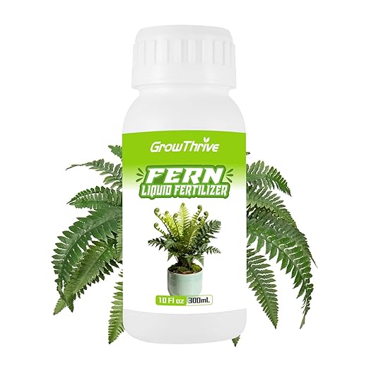 Fern Liquid Fertilizer – Natural Organic Plant Food for Ferns, Indoor & Outdoor Use, 10 Oz Concentrated Probiotic Formula for Greener Leaves, Strong Roots & Healthy Growth