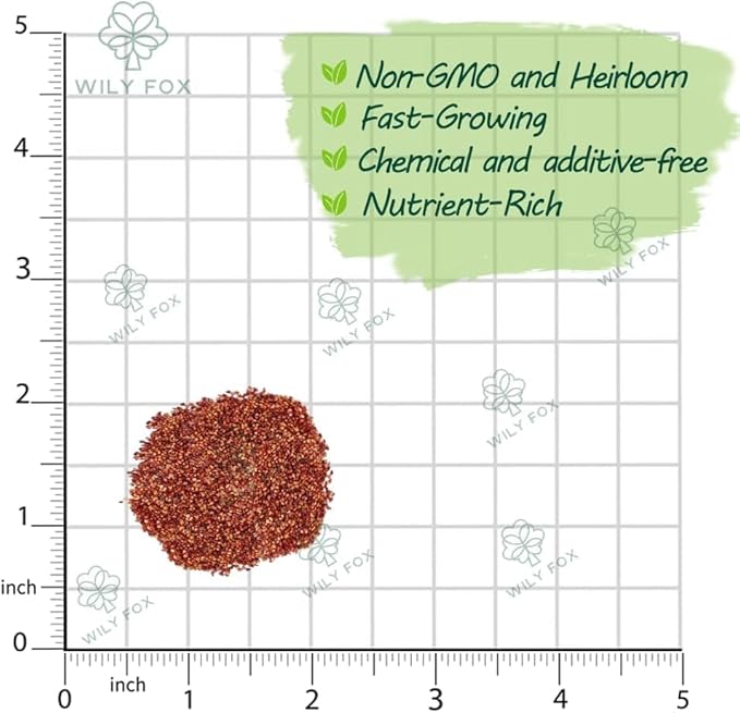 Rare Strawberry Seeds for Planting - 500 Fragaria × Ananassa Non-GMO Heirloom Seeds - Extra Big, Juicy, Sweet Strawberries