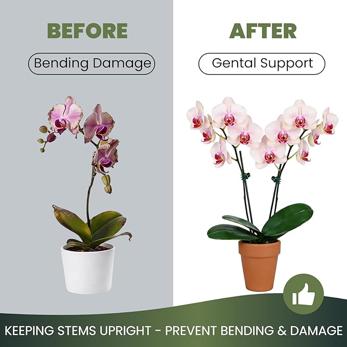 50 Pcs Large Orchid Clips - 1.2-inch Max Opening, Dark Green Heavy-Duty Plant Support Clips, Gentle Hold for Thick Stems and Large Orchids Like Cattleya and Dendrobium