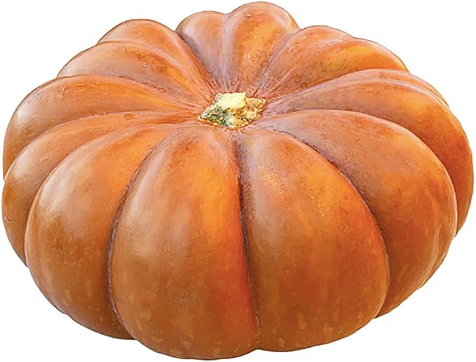 Fairytale Pumpkin Seeds - 10 Seeds - One of The Most Interesting and Decorative Pumpkins as Well as Delicious