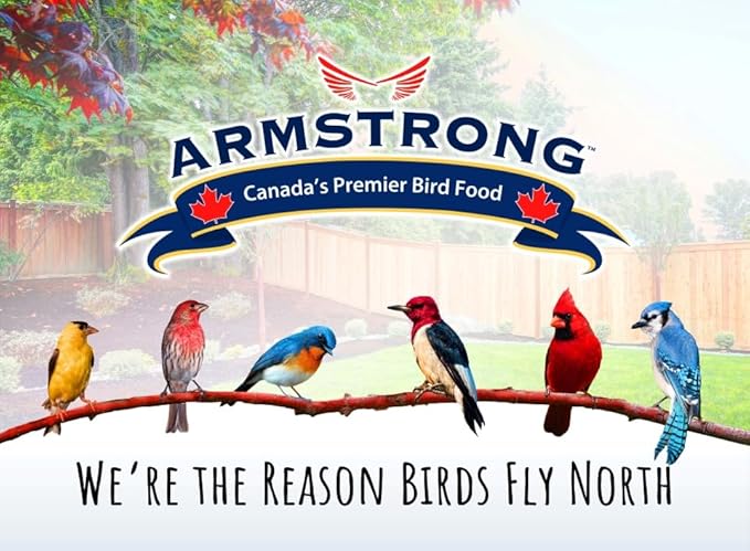 Armstrong Wild Bird Food Black Oil Sunflower Bird Seed, 3 Pounds - for Northern Cardinals, Blue Jays and Hairy Woodpeckers - Ideal for Outside Feeders
