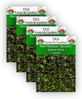 TKE Farms, Red Malabar Seeds for Planting, 1 Gram, Approximately 40 Seeds, Basella Rubra, Non-GMO, Heirloom, Qty 4