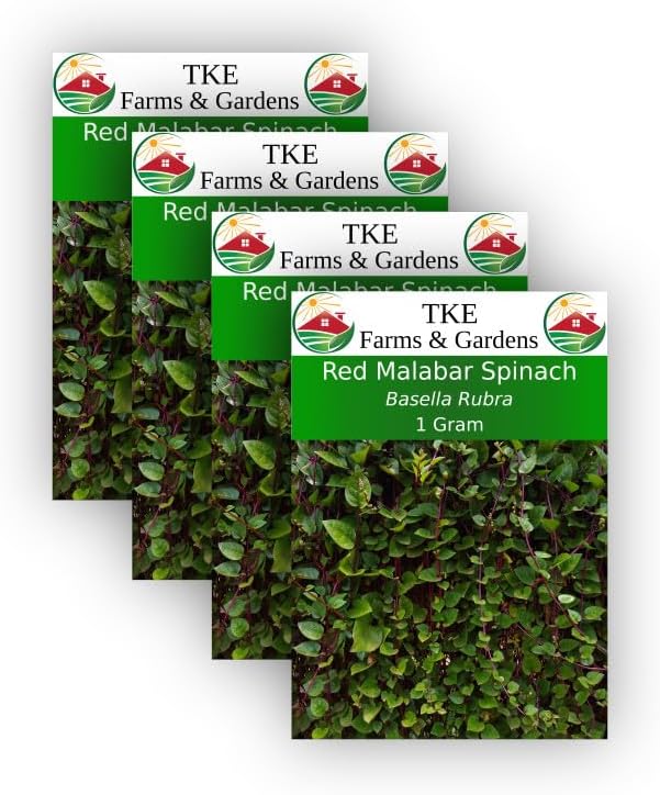 TKE Farms, Red Malabar Seeds for Planting, 1 Gram, Approximately 40 Seeds, Basella Rubra, Non-GMO, Heirloom, Qty 4