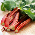 Vegetable Garden Seeds for Planting - Grow Heirloom Vegetables (Red Rhubarb)