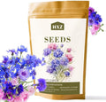 2000 Cornflower Seeds for Planting, Bachelor Button Blue Flower Seeds, Flower Seeds to Plant Outside, Perennial Wildflower Seeds