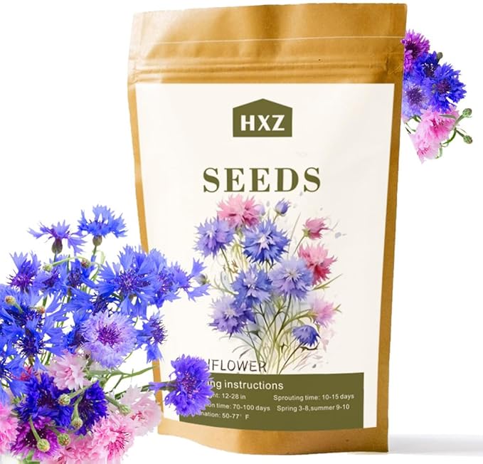 2000 Cornflower Seeds for Planting, Bachelor Button Blue Flower Seeds, Flower Seeds to Plant Outside, Perennial Wildflower Seeds