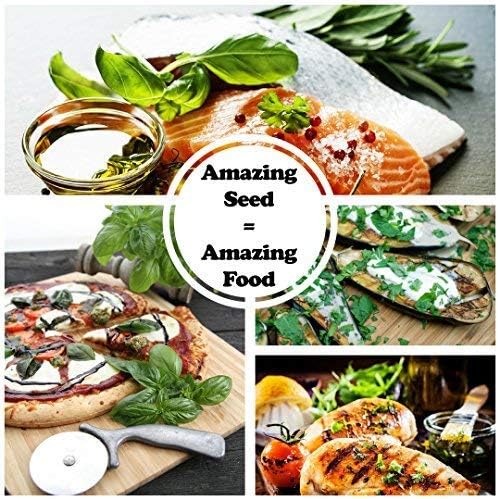 Culinary Herb Seeds Variety Pack – 10 Non-GMO Herb Seeds for Indoor & Outdoor Gardens – Includes Basil, Dill, Rosemary, Thyme & More with Planting Guide Book