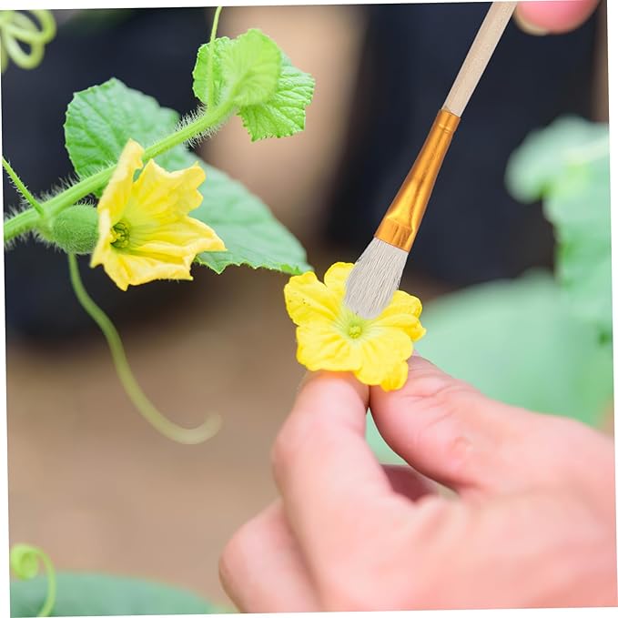 YARNOW Pollination Brush for Plants Hand Pollination Tool for Fruit Tree and Vegetable Garden Bee Pollinator Pen for Efficient Pollinating 7.87 Inch Length