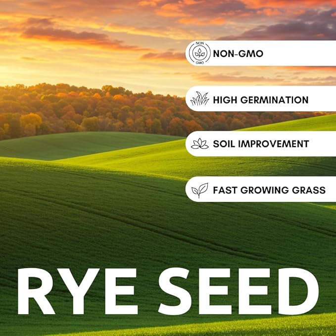 10 lbs No-Till Winter Rye Cover Crop Seeds – Non-GMO Rye Grass Seed for Soil Improvement, Erosion Control & Weed Suppression – Hardy Winter Rye for Deer, Turkey & Wildlife Food Plots