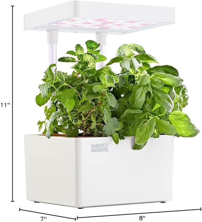 Back to the Roots v1.0 Hydroponic Grow Kit, 2022 Model